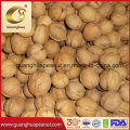 Easy Cracked Walnut Inshell 185 From China
